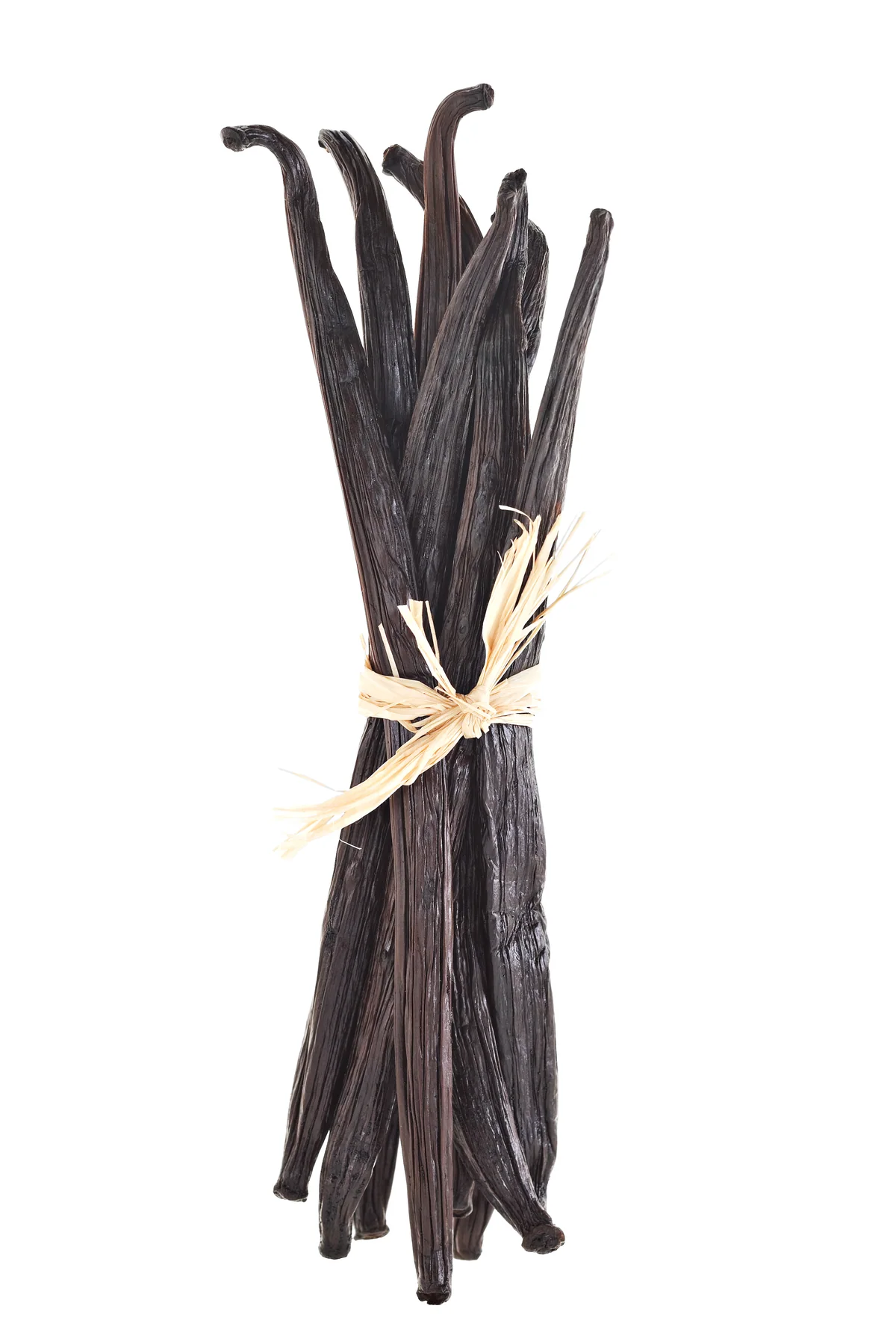 Botte de gousses de vanille Bourbon de Madagascar